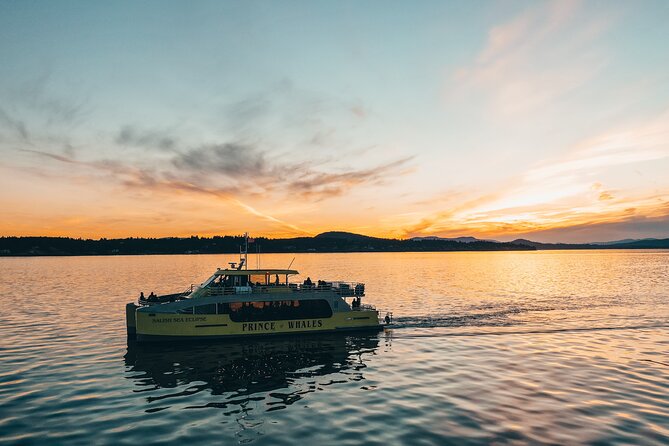 Vancouver Sunset Whale Watching Adventure with Free Photos - The ride out: scenery, geology, and anticipation