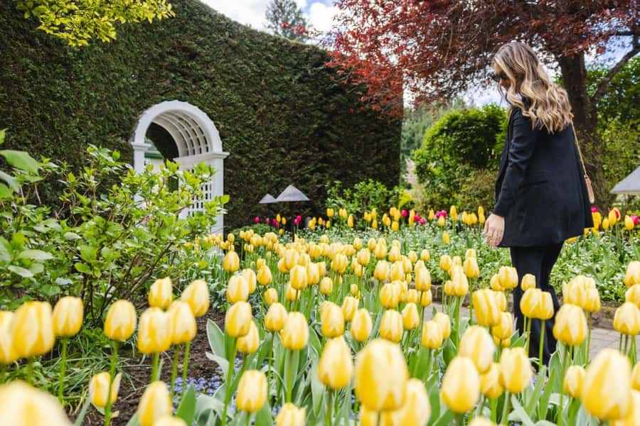 Vancouver to Victoria Seaplane Day Trip + Butchart Gardens - The coach ride to Butchart Gardens