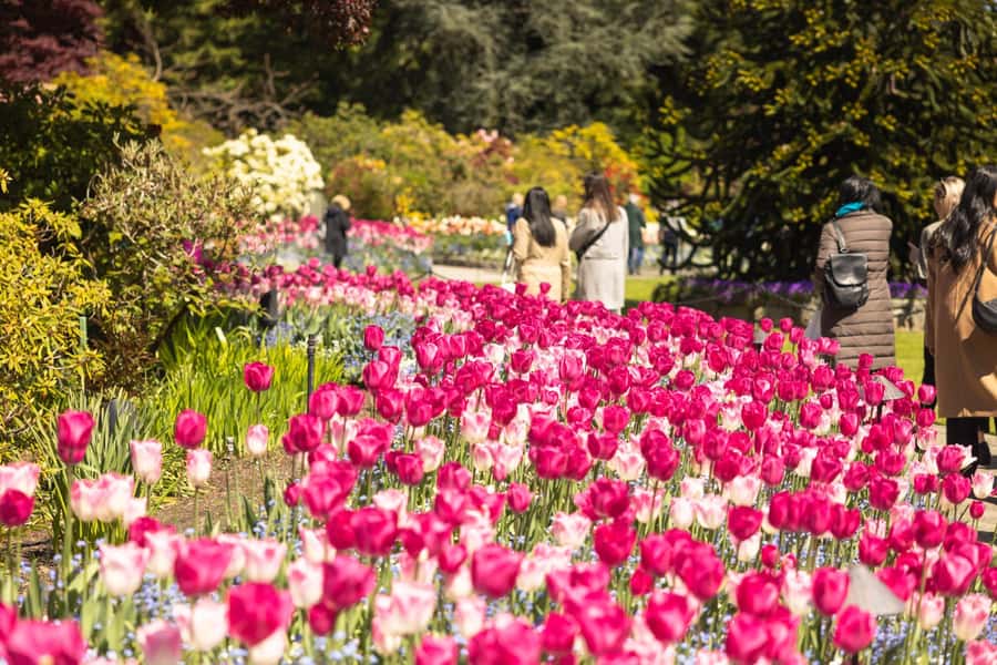 Vancouver to Victoria Seaplane Day Trip + Butchart Gardens - Exploring 55 acres at Butchart Gardens