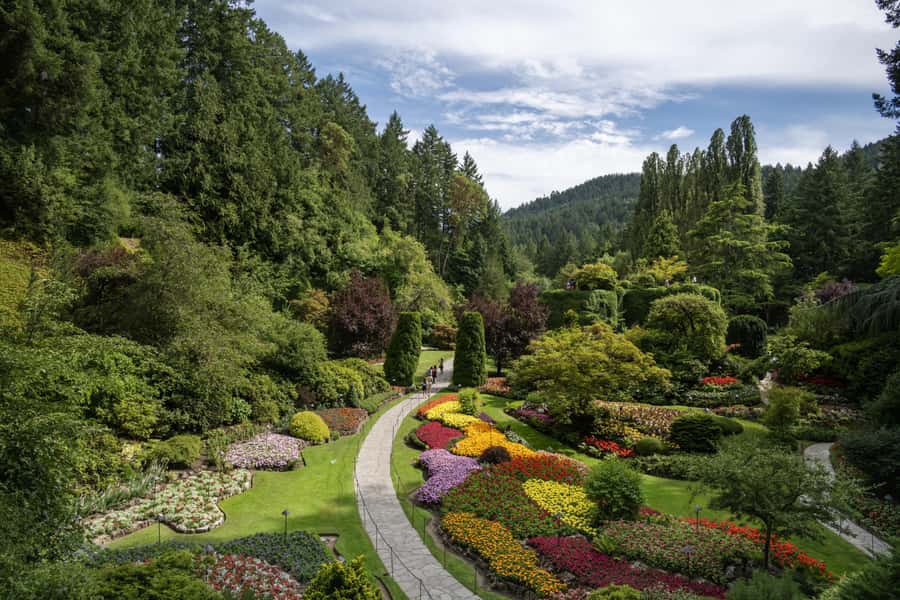 Vancouver to Victoria Seaplane Day Trip + Butchart Gardens - 1:00 p.m. return to downtown Victoria