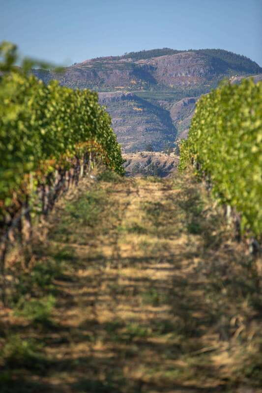 Vernon: Vernon Full Day Guided Wine Tour - 50th Parallel closes with a strong final stop