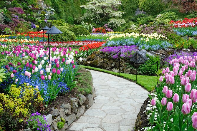 Victoria and Butchart Gardens Day Trip from Vancouver - The morning coach ride and BC Ferries crossing