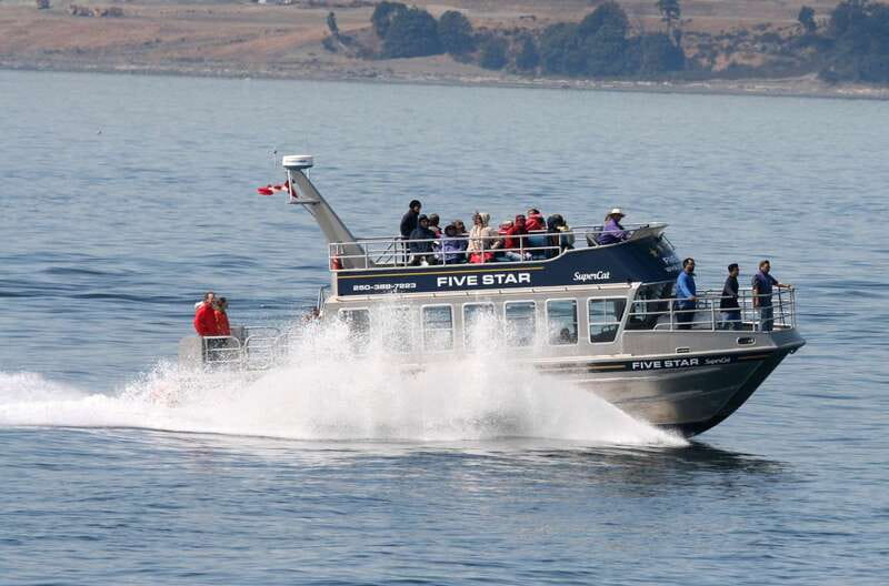 Victoria BC: 3-Hour Whale Watching Expedition - Leaving from 645 Humboldt Street beside the Empress