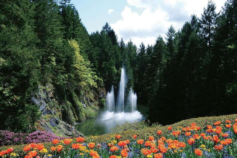 Victoria: City Highlights and Butchart Gardens Tour - Key points to know before booking