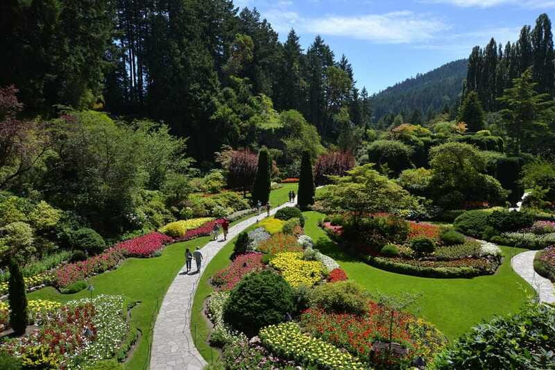 Victoria: City Highlights and Butchart Gardens Tour - What the guide adds to the experience