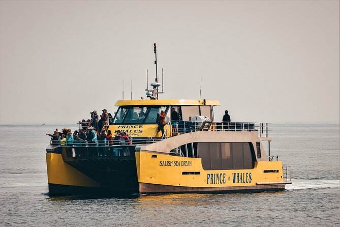 Victoria Half-Day Whale Watching Adventure with Free Photos - Staying warm on the open deck