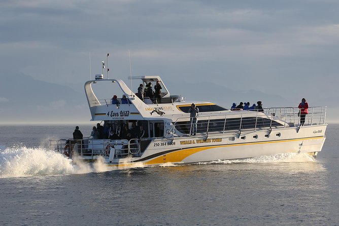 Victoria Marine Wildlife Tour - Setting out from 1 Dallas Road in Victoria