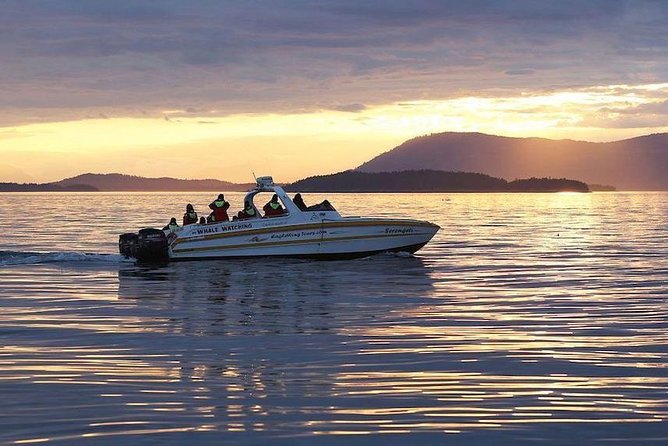 Victoria Sunset Whale-Watching Cruise - Staying warm and comfortable on the water