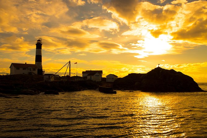 Victoria Sunset Whale-Watching Cruise - Who will enjoy this cruise most?