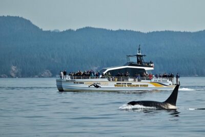 Victoria Whale and Wildlife Cruise