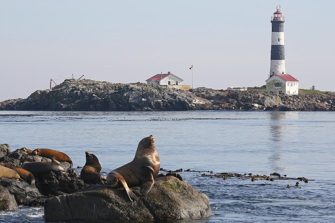 Victoria Whale and Wildlife Cruise - Who will enjoy this Victoria cruise most?