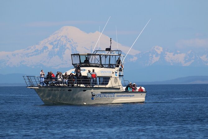 Victoria Whale Watch Tour - Key points to know before you sail