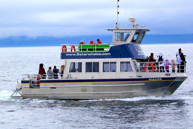 Victoria Whale Watching Cruise with Expert Naturalists - Key points to know before you book