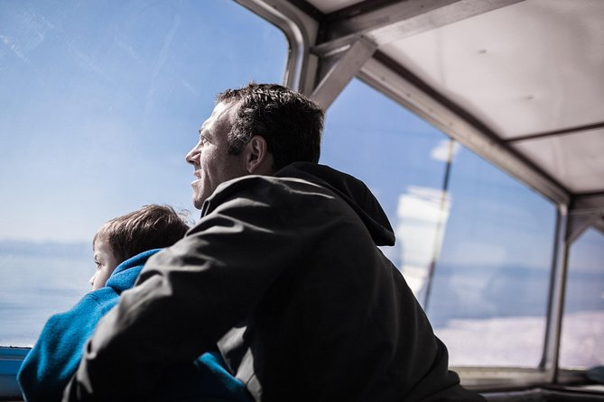 Victoria Whale Watching Tour on a Covered Vessel - What happens during the three-hour trip