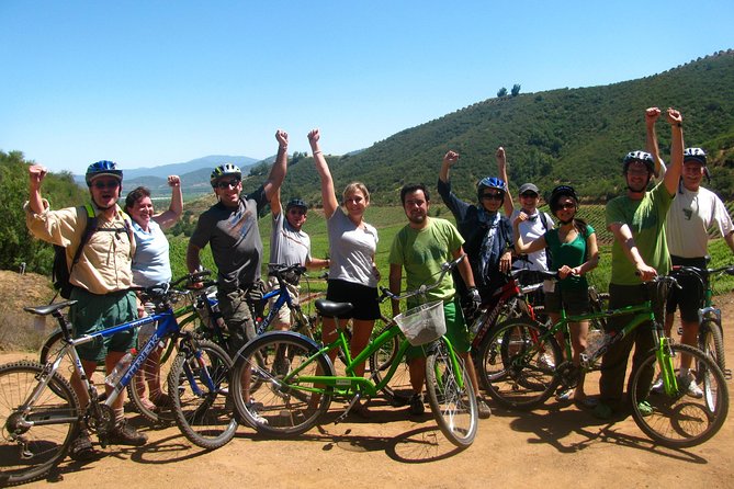 Vine and Dine Bicycle Wine Tour with Lunch - Reif Estate Winery, the longest tasting stop