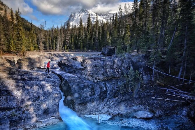 Waterfalls, Lakes & Hidden Gems – Yoho Adventure from Calgary - What the guide adds to the day