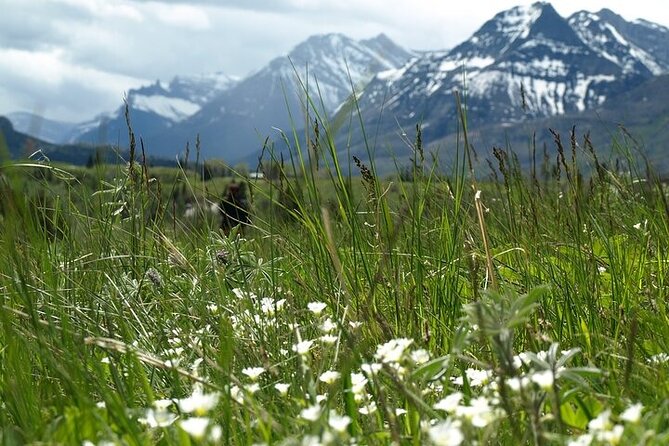 Waterton-Glacier International Peace Park | Be a Wildflower - Red Rock Canyon and Blakiston Falls