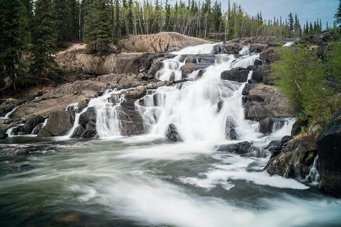Waterton Lakes National Park Scenic Day Tour from Calgary - The Buffalo Paddock and the Okotoks backup