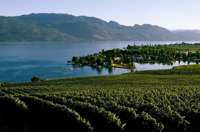 West Kelowna Wine Tour - Classic - 4 Wineries - Kalala Organic Estate Winery keeps the focus on organic wine