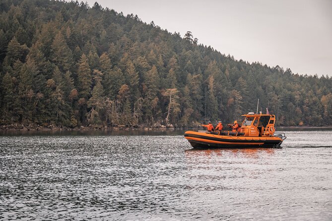 Whale Watching Nanaimo Open Boat Tour - Key points at a glance