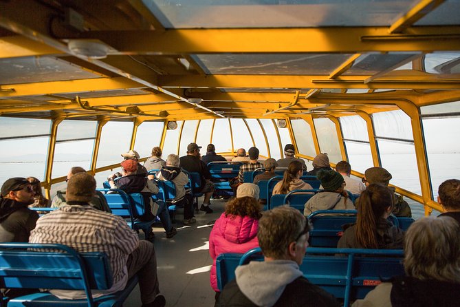 Whale-Watching Tour from Vancouver - How Comfortable Is the Vessel?