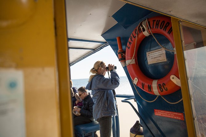 Whale-Watching Tour from Vancouver - Is $157.09 a Fair Price?