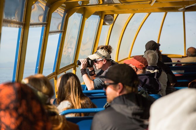 Whale-Watching Tour from Vancouver - Who Will Enjoy This Whale Watch Most?