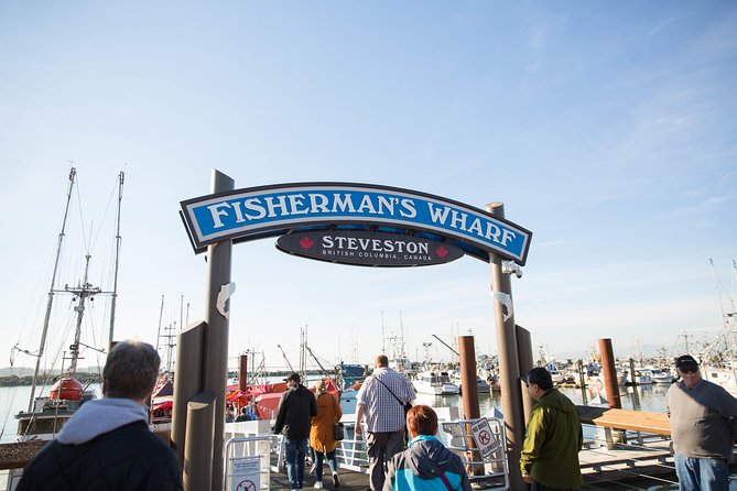 Whale-Watching Tour from Vancouver - The Wildlife You Might See