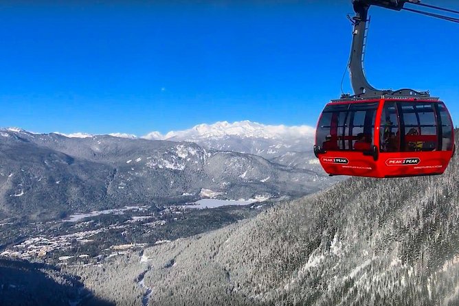 Whistler Sightseeing Tour from Vancouver: See Horseshoe Bay and Shannon Falls - Price, inclusions, and practical value