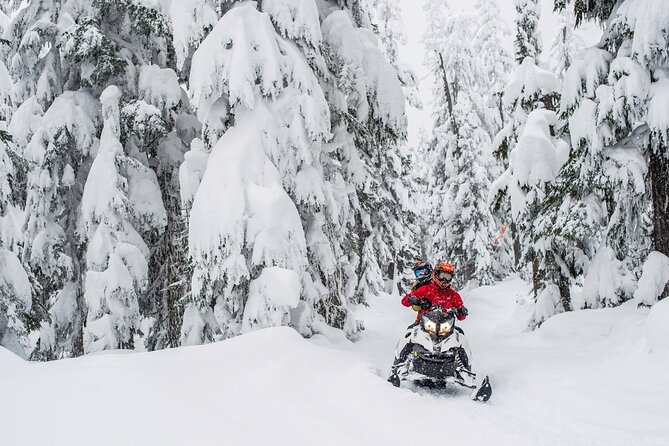 Whistler Wilderness Run Snowmobile Tour - Frozen lakes, photo stops, and changing conditions