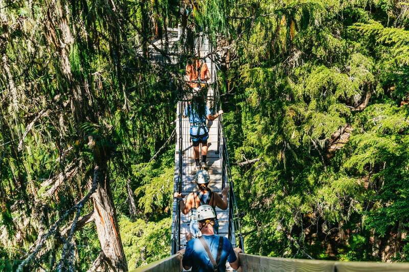 Whistler: Ziplining Experience - Is five ziplines worth $130?