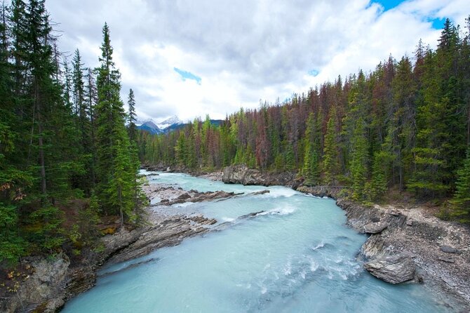 Whitewater Rafting Adventure | Kicking Horse River - Key points to know before you book