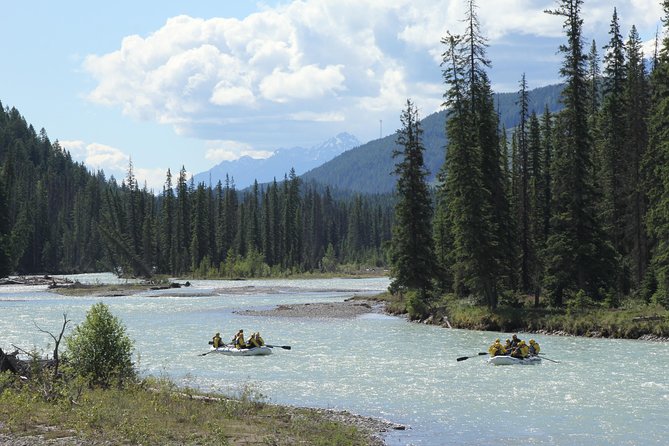 Wild Water Adventures - Why the Kicking Horse River makes a strong rafting choice