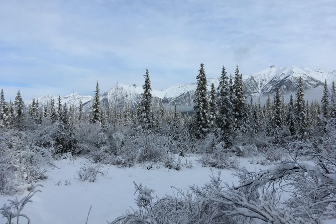 Wilderness and Wildlife Hiking Tour - 3hr Hike - Who will get the most from this hike?