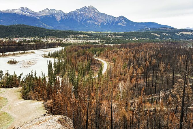 Wildfire Peak Nic - Key points about Wildfire Peak Nic
