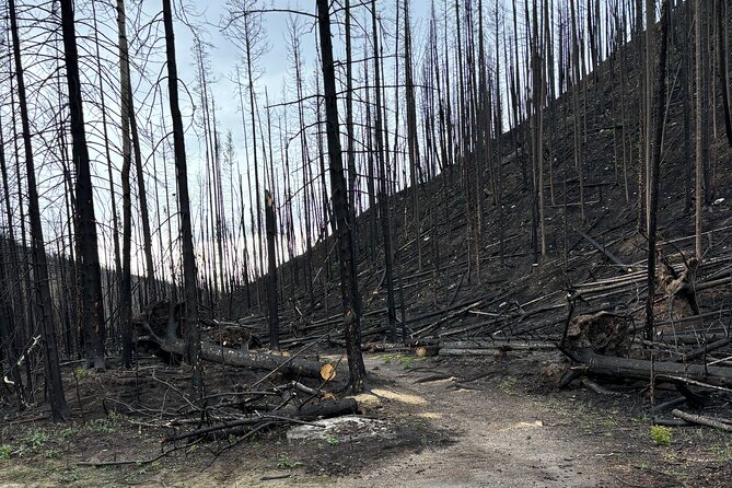 Wildfire Peak Nic - Who will enjoy this experience most