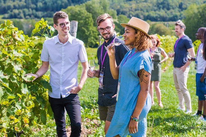 Wine and Lunch Escape - Three estates, three different personalities