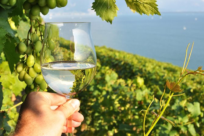 Wine Tasting and lavender Farm Tours - A Four-Hour Taste of Niagara’s Wine Country