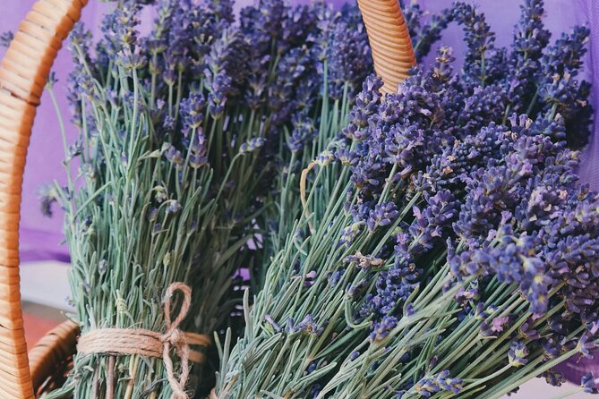 Wine Tasting and lavender Farm Tours - From Niagara Falls to Niagara-on-the-Lake