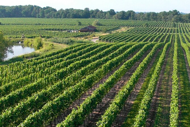 Wine Tour in Niagara-on-the-Lake - What happens during the 5 hours and 30 minutes