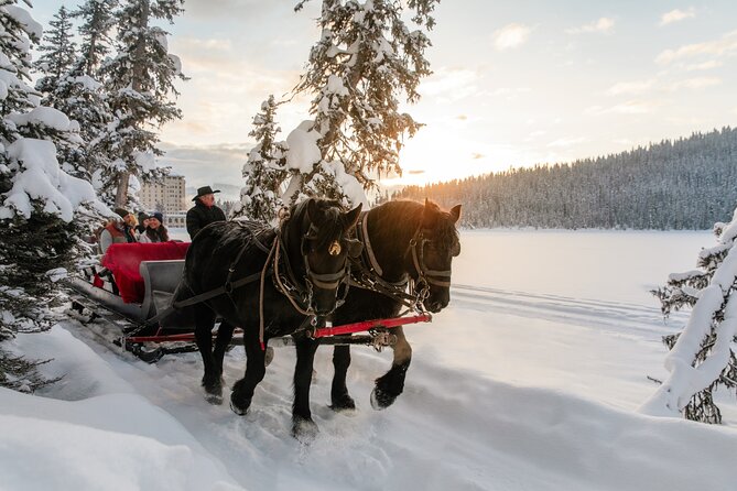 Winter Trip: Lake Louise, Marble Canyon, Emerald Lake, Banff - Lunch at Lake Louise Village Grill & Bar