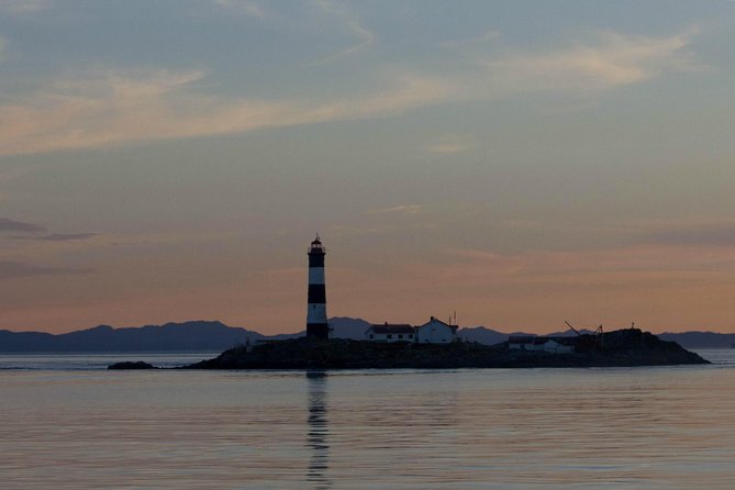 Winter Victoria Whale and Wildlife Zodiac Tour - The animals you may see