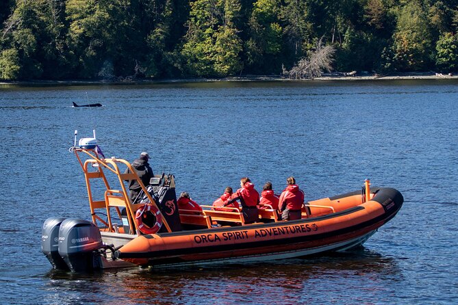 Winter Victoria Whale and Wildlife Zodiac Tour - Hearing whales through a hydrophone
