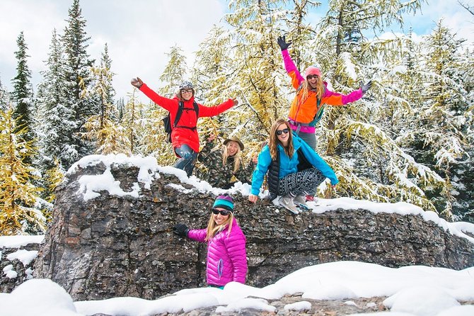 Winter Wildlife Discovery Tour - Wildlife sightings you might get