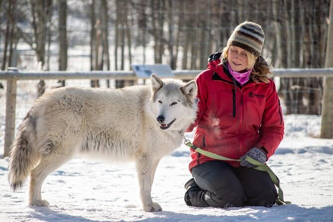 Yamnuska Wolfdog Sanctuary Walk Ticket in Canada - What You Can See Along the Pathways