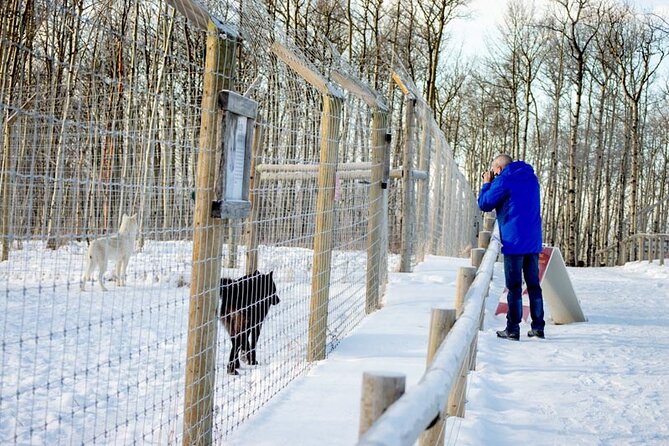 Yamnuska Wolfdog Sanctuary Walk Ticket in Canada - Is the $29.27 Admission Good Value?