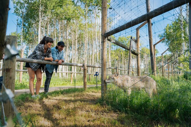 Yamnuska Wolfdog Sanctuary Walk Ticket in Canada - Getting There and Planning Your Arrival