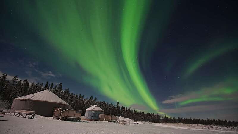 Yukon: Aurora Borealis Late Night Viewing Tour - Photography Help Under the Northern Lights