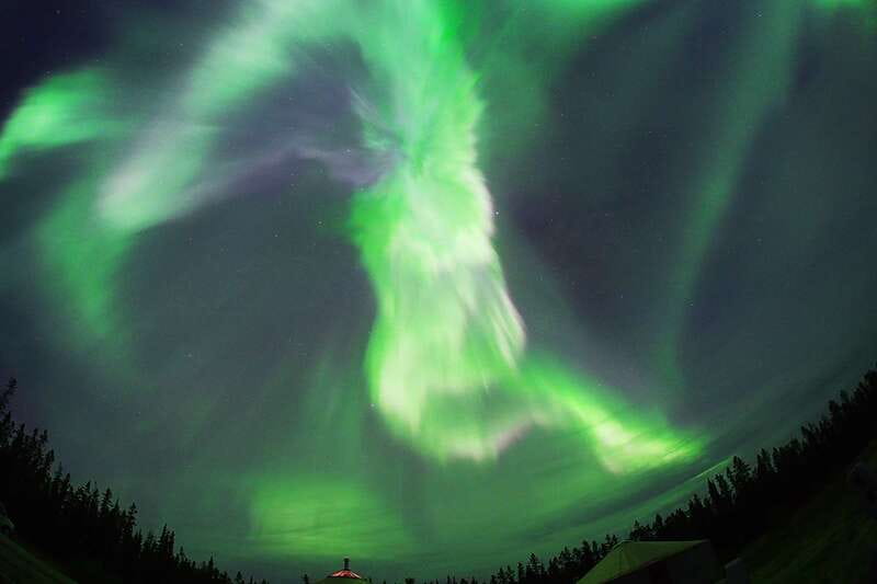 Yukon: Aurora Borealis Late Night Viewing Tour - Is $122 a Fair Price?