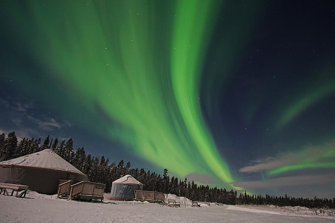 Yukon Aurora Viewing Package | 4 days - Day 4: A simple airport transfer home